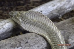 73